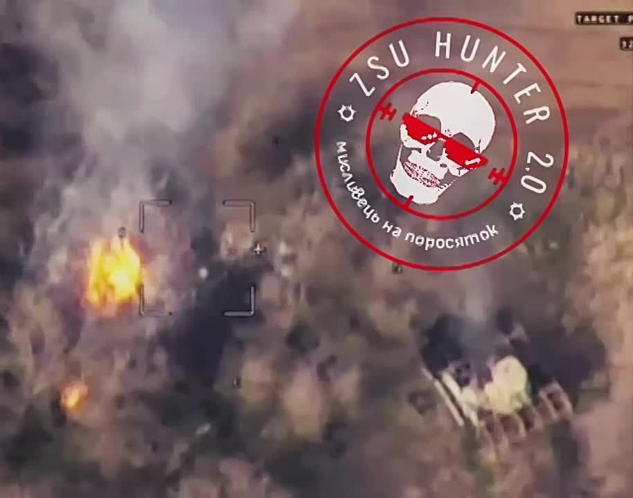 ���������� �����������, � ������ �.�. ���������