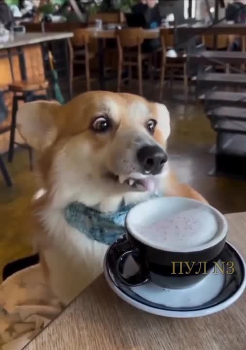 ��� �� �����������... �� �������?!