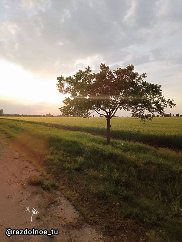 ���� ������ ����,. ����������� �� �����