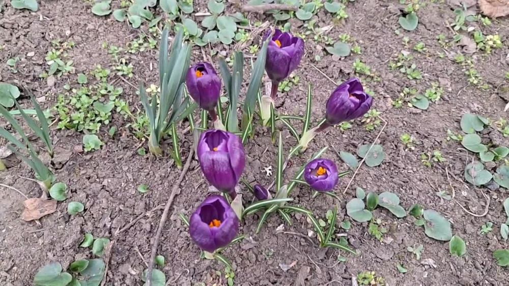 � �������������, ������� ������ ����������� ������!