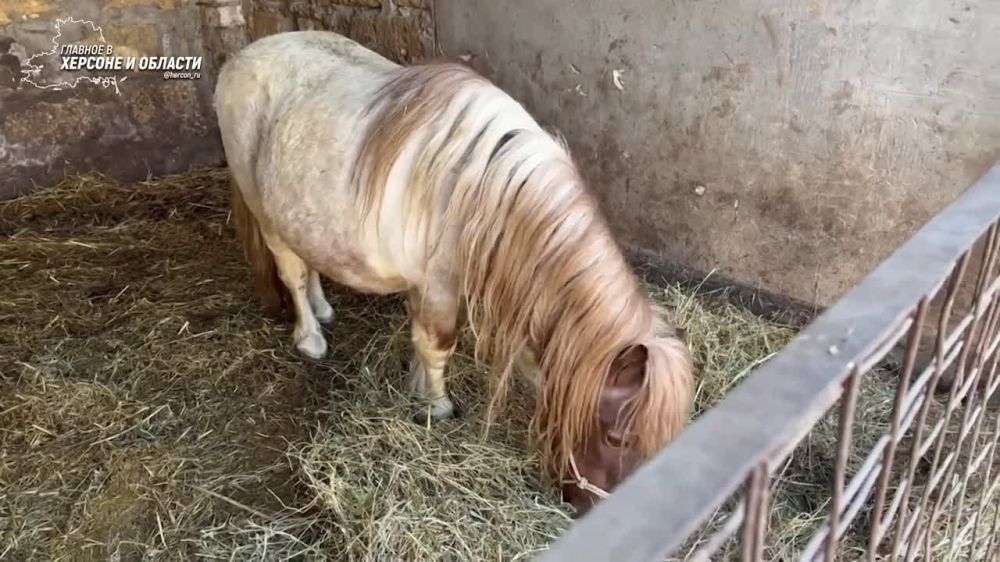 � ������� � ���� � ����� � ������ � � ���, ��� ����� � ����������� ������ ���� � ��������� ������ � ������ �������� � ������� � �������