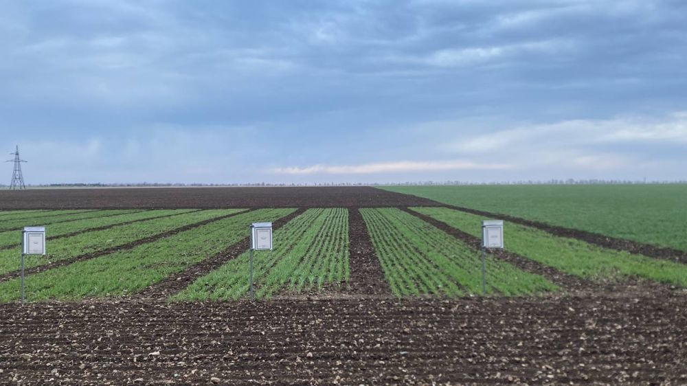 В Херсонской области начал работу проект «Российское село»