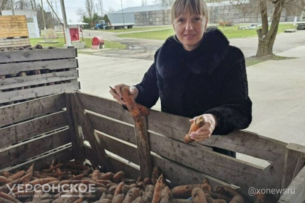 ���������� ���������� ��������-���� �������� ���� ��� ��������