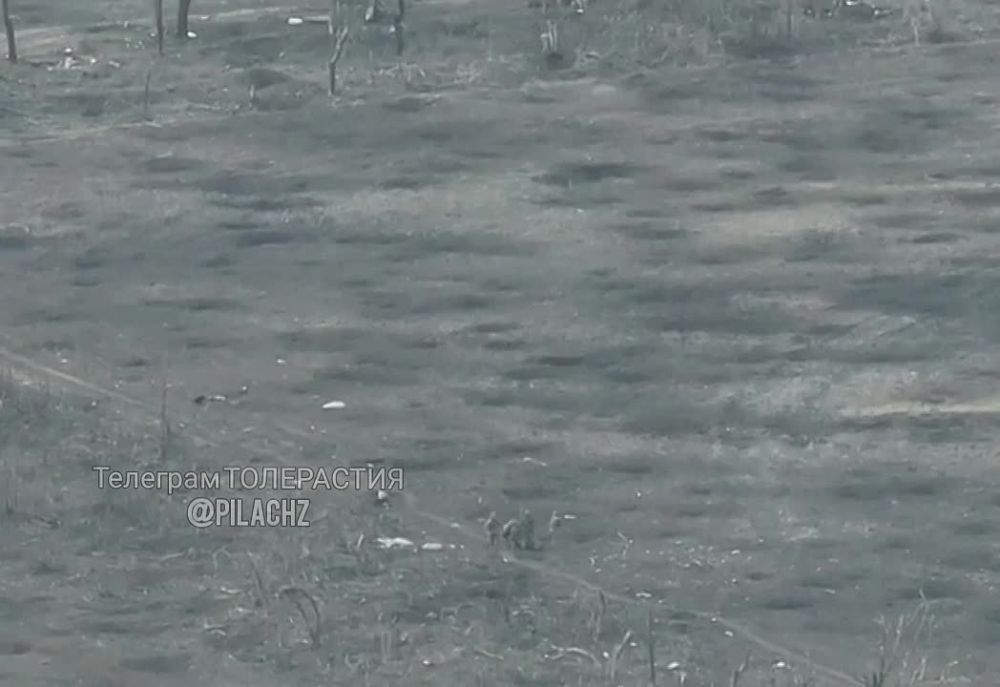 ��� ���� ������ � ����� ������, ������� ������������ ������ ��������!