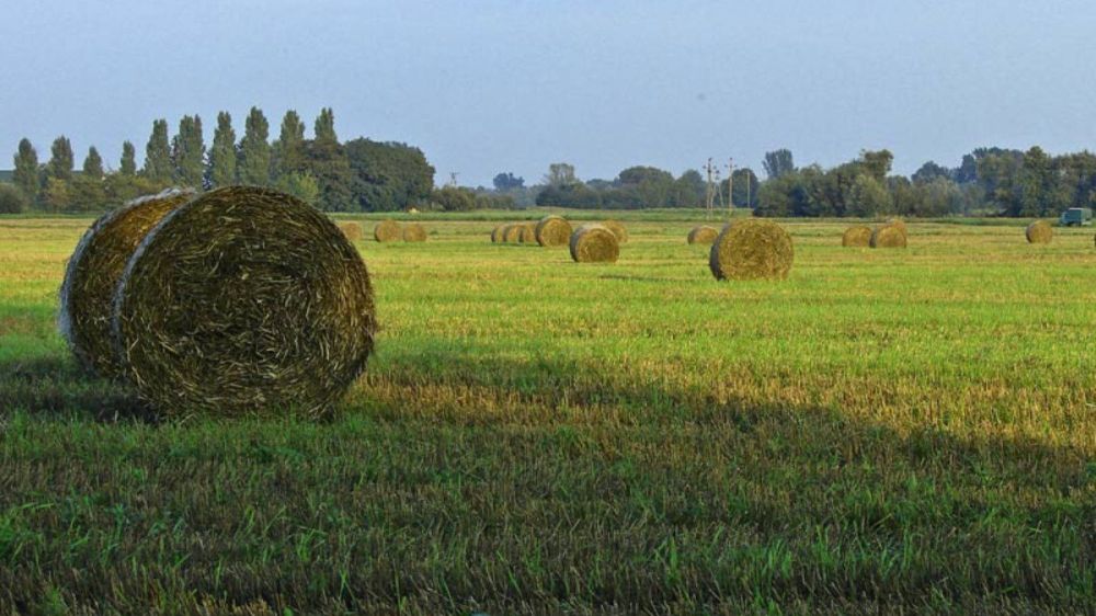 � ���������� ������� �������� ����������� �������������������� ������ � ����������