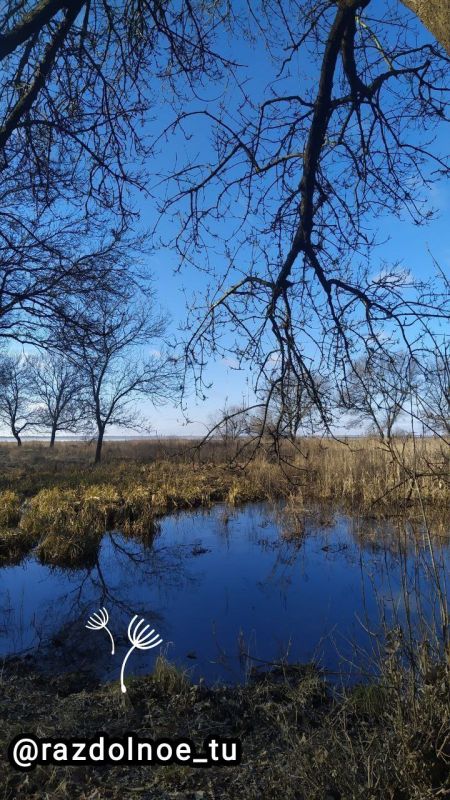 ����� ��� ���� ����� ������, ������ � ��������������