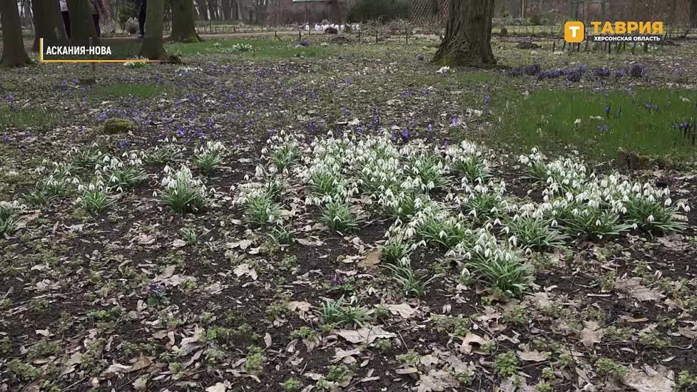 � ���������� ����������� "�������-����" ������ ������������ ����������