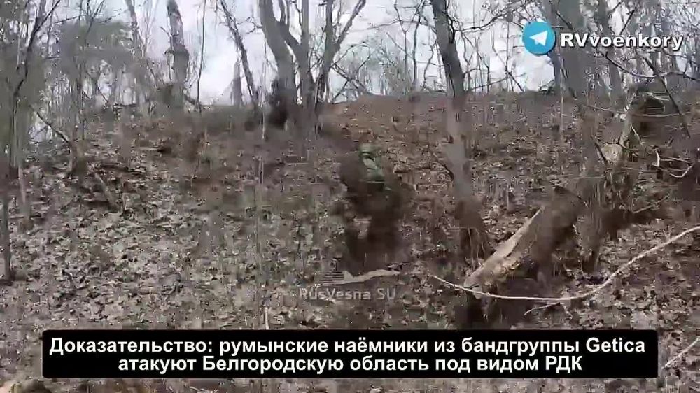 � ����������� � ���� ������ � ������� ��������� ����� ��������� ���������-����������� �Getica�, ����� ������ � ���������� �������