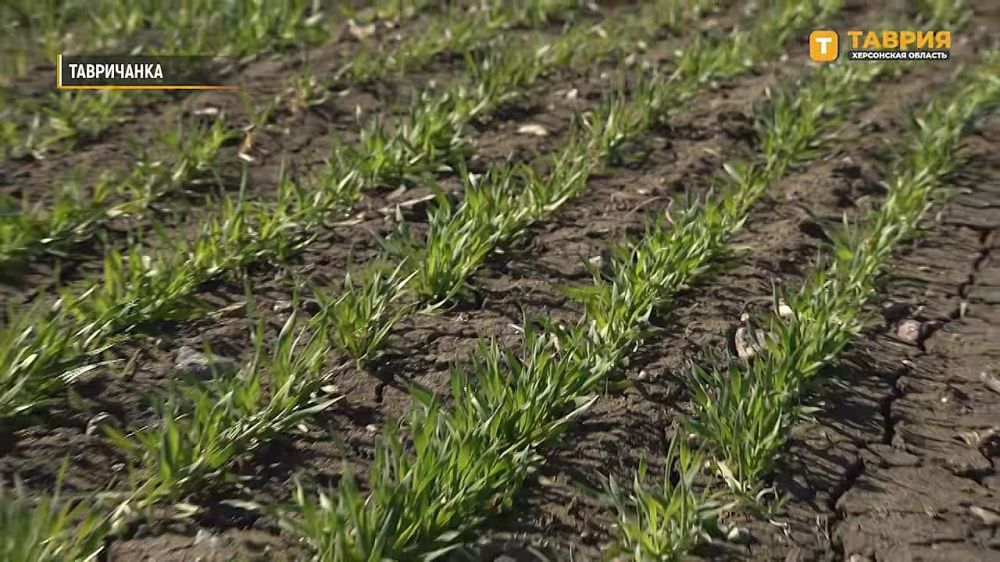 � ���������� ������� ����� ������ �������� ����� ������� �������� ���������� ��������