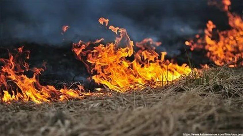 ���������: ����� �����! ������������ ��������� �������� ������������ � �������-������ ������ ���������������, ������� �������, ������ ������ ���������� ��������� ������ ����������