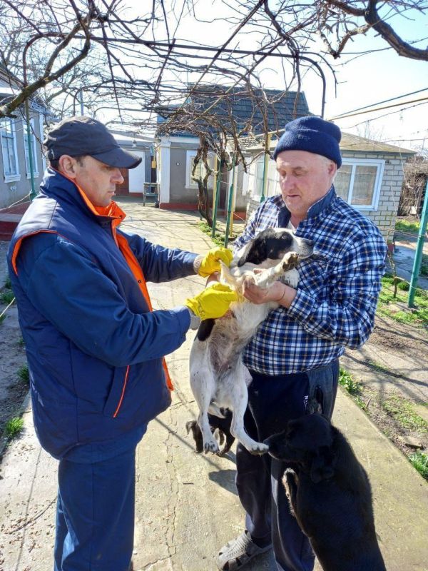 ��������� ���������� �������� ������������� �������� � ���������� �������