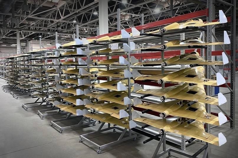 "�������� ����������� �������", � 2024 ����, �������� ������������ ���� � 10 ���