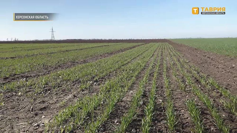 ������� ���������� ������� ���������� � ������ ������ �������