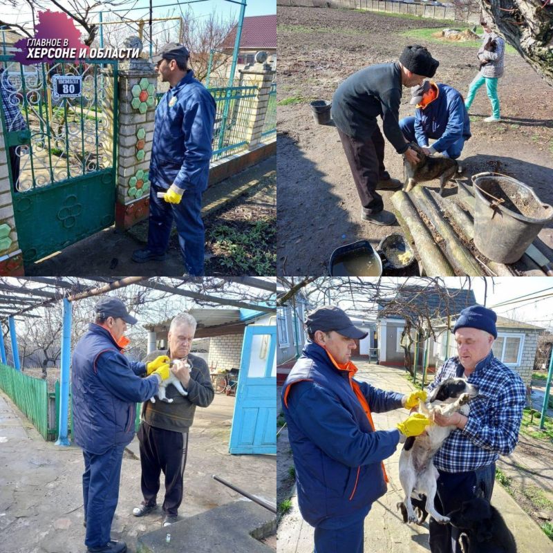 � ���������� ������� ���������� ������� ���������� �������� ��������