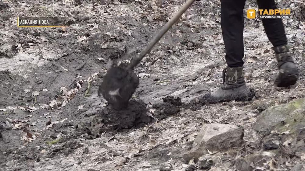 ���������� ���������� "�������-����" ��������� � ��������