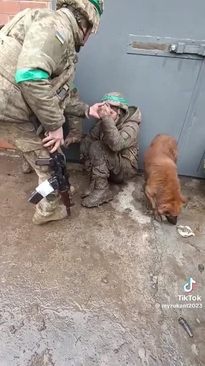 ������� ���������� ������������, ���������� ������� �������� ����� ������� ������� ��������� ��� � ����