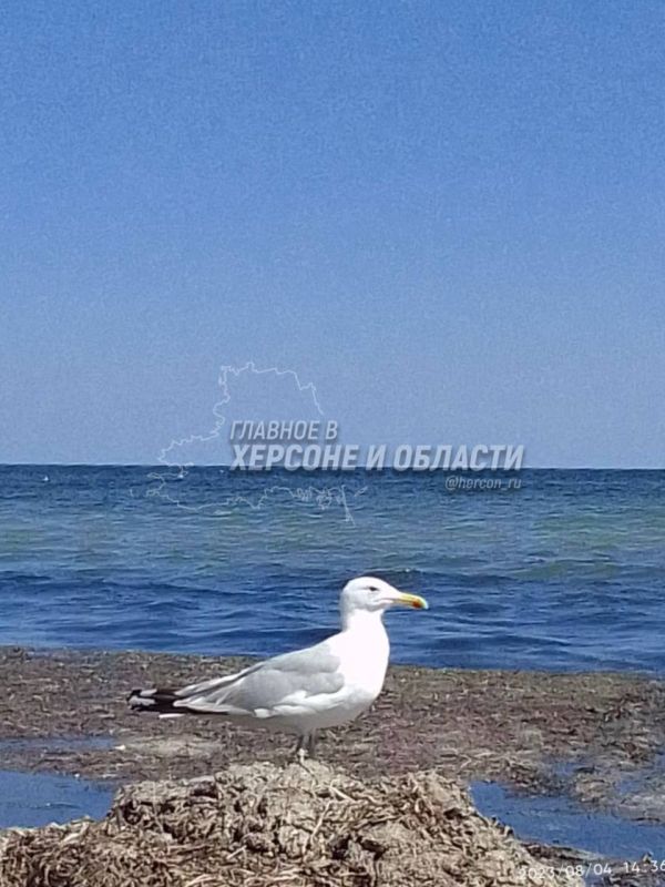 ����, ������ � ���� � ���� ���������� � ������������ ������ ������� ����