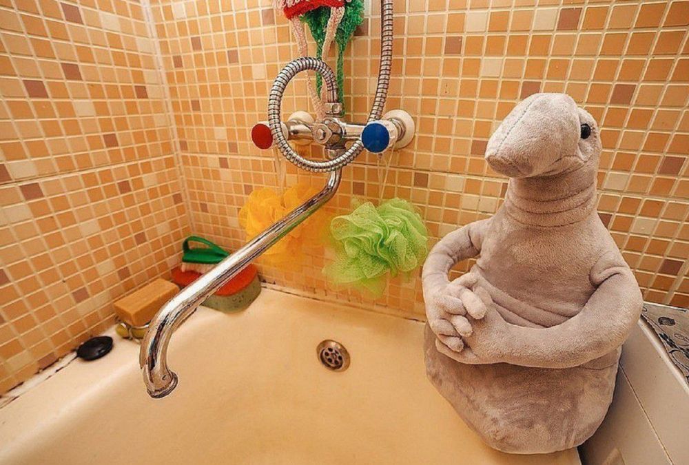 ��������!. � ����� ����������� ��������� ������������ �������� ����� ���������� ��� ��� �� "������������" ��������� �������� ����������� �� ����������� ������ ������������� � �. ���������