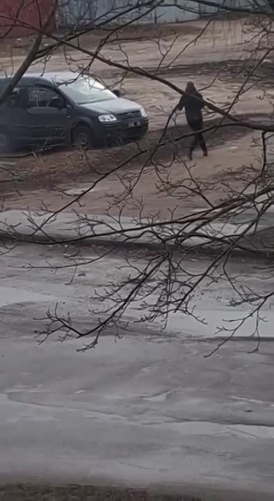 ������ ���� �� ������� �������� ���������: ���� ������� � ��������� � �����