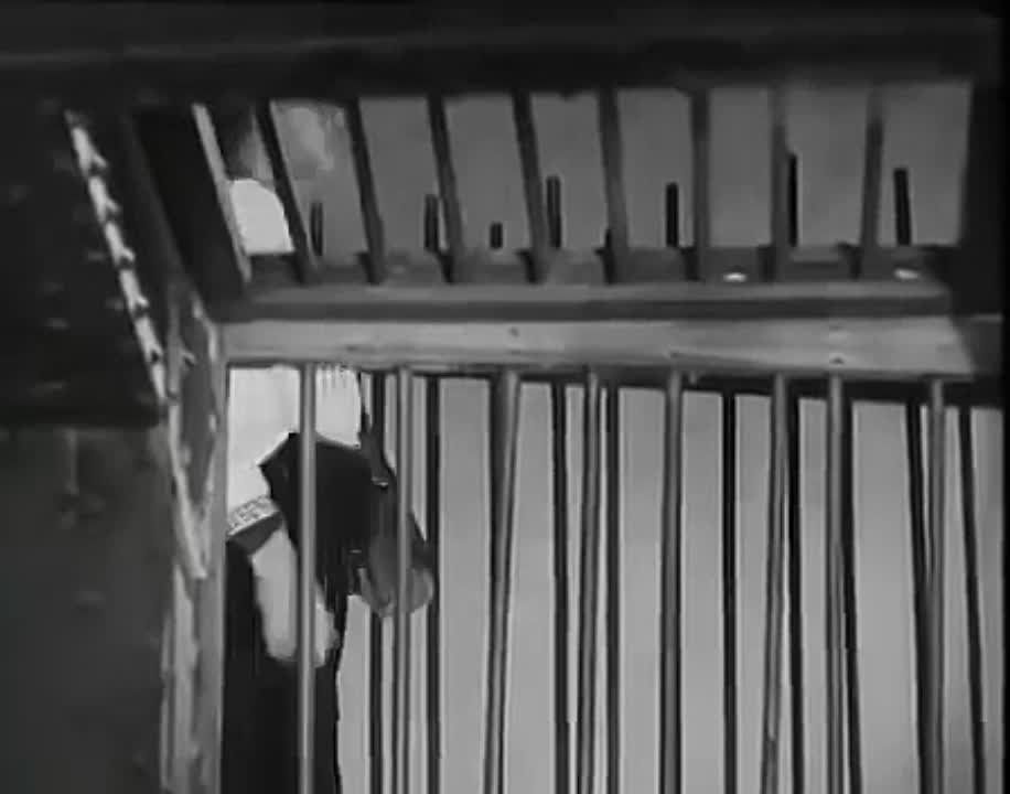 �� ��� �������� ������� �������