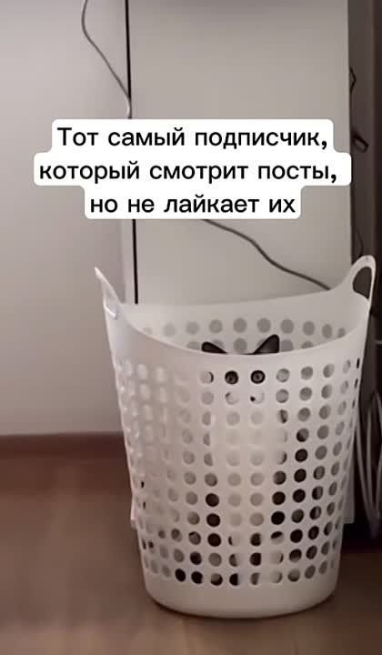 #������������