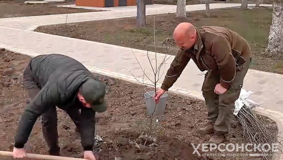 ���������� ����� � ����� ��� ����� �������� ��� ��������