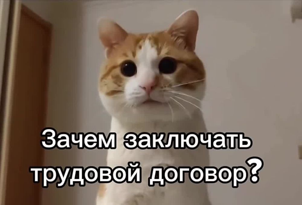 ������� �������� � ������������� ���������� ��������� ��������