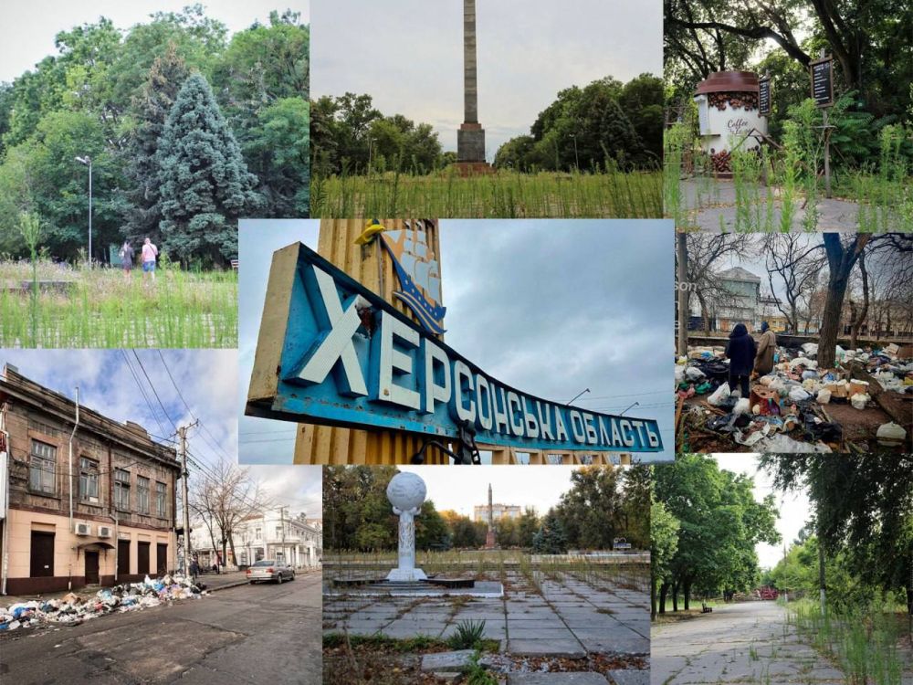 ������ - 2024. . ������������. ������������ ���� � ����������