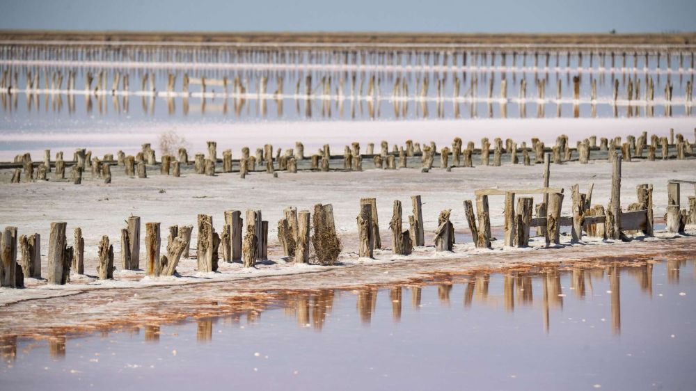 ���������� ������� ������ ������� �������� ����� 2024 ���� - ������