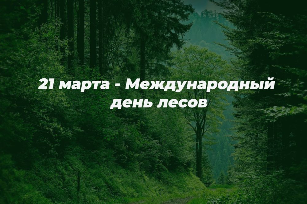 21 ����� � ������������� ���� �����