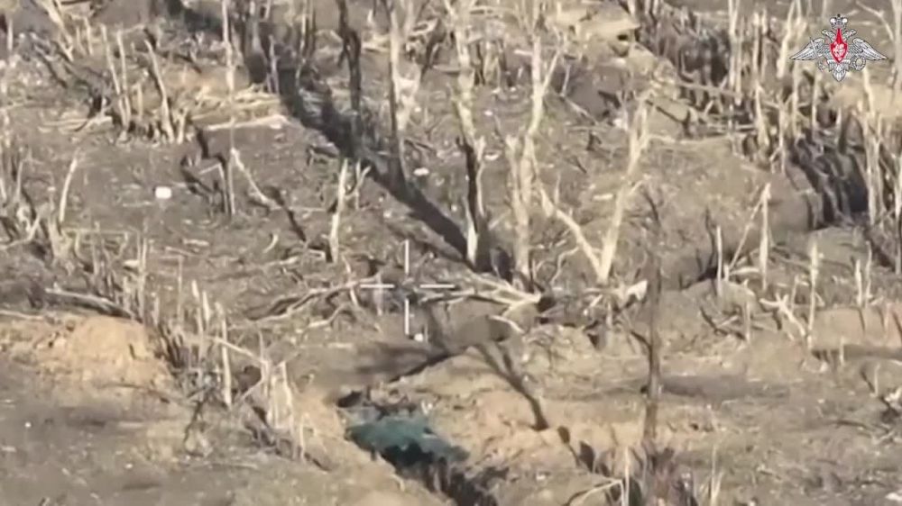 �������� ���������� ����������� ����� ������ ���������� �������������� ���� � ������ ��� �� ����������� �����������