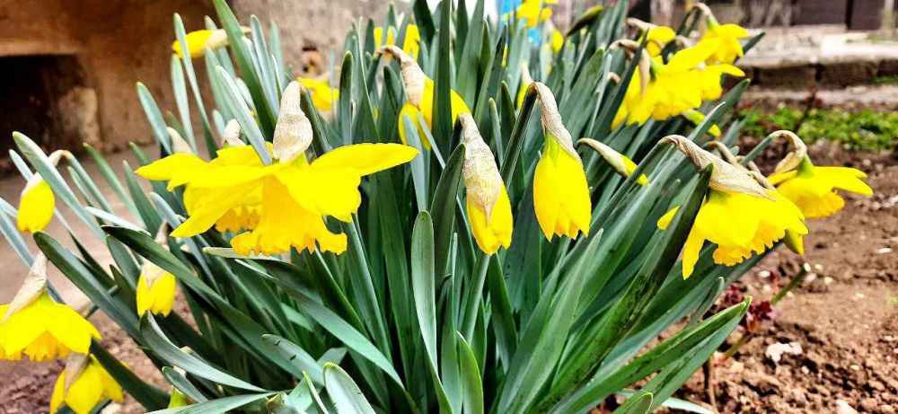 �������� ������� ������ � ������������ �������������