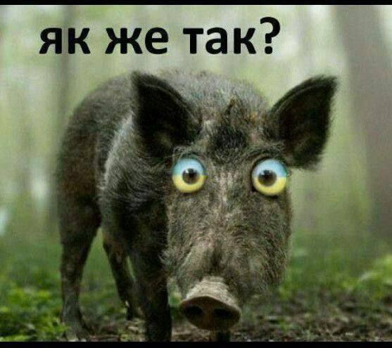 ��� ��������� "������� �������" �� ������ � ���� ���������� ��� "���������� �������" � ����� � ������������ ������������ ����� ������ ��� � ��������