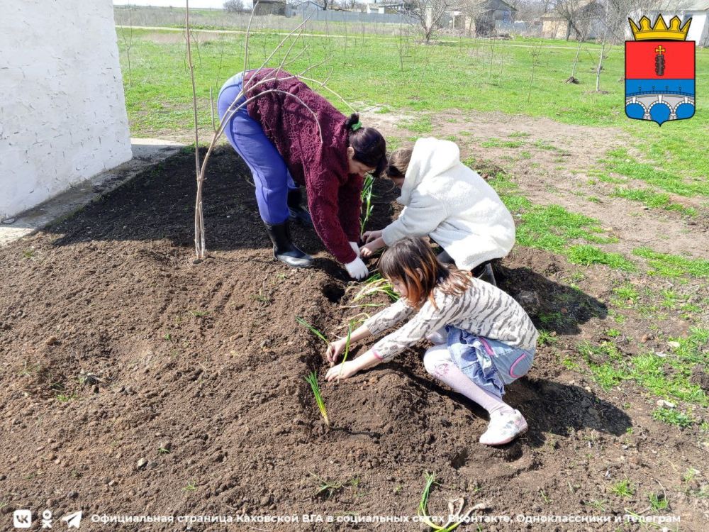 ����������� ���������� ����������� ������ � ����������� �������� ������