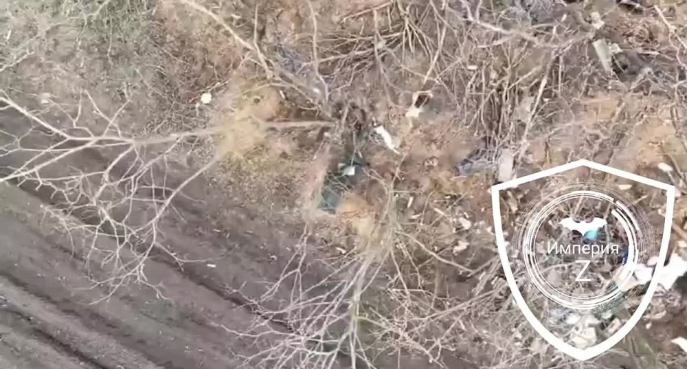 ����������� Starlink�� ���� ������� � ����