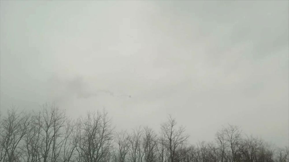 ��������� 71 ����� 42 ��� ������� ���������� ���� RQ-20 � ����������� �������