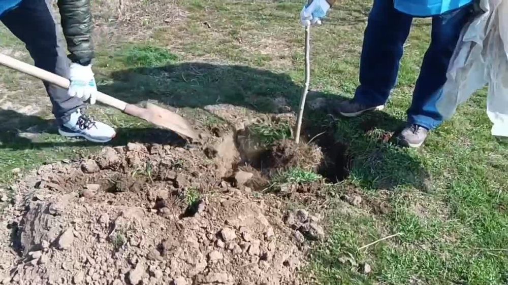 ��������� ������� ������� ����: ������������� ����� ����� ������ � �������