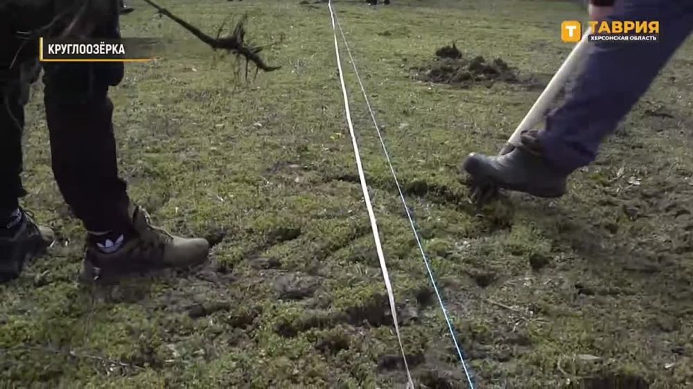 �� ���������� �������������� ����� �������� 70 �������� ����� � ���