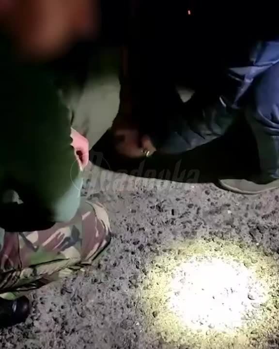 ������ ����� ���������� ������ �� �����������