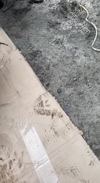 � ���� ��������� ������������ ����� ������� ������ �� ����������� �� ���������� � ���������� ������� � ��������