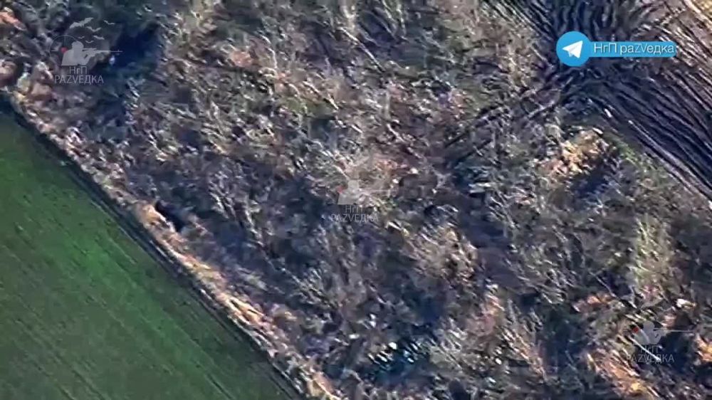 ������ ������� ������������