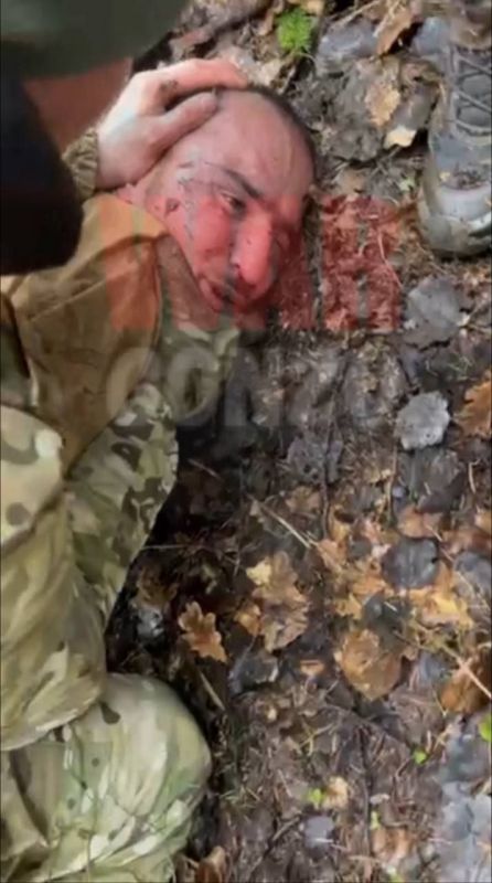 ����� ����� ���������� � ������� �����������, ��������� � �������� �������