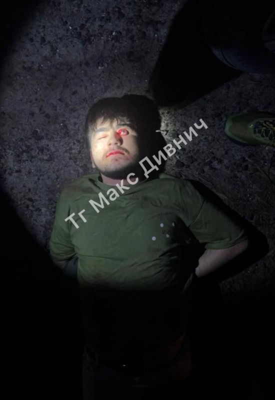 ���� ������ ��������:. �� ��������������� ����������: 376 �� ��������� �����, ����������� ��� ������, 3 �������� ����������� � ��� ���� ��������! ���� � ������ 4 �������� ������ ������������� ������������