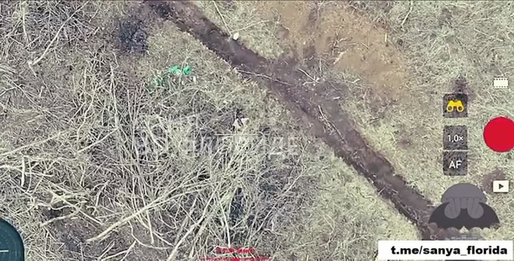 ����� �� �������. ���� �������� ������� � ����� ���������