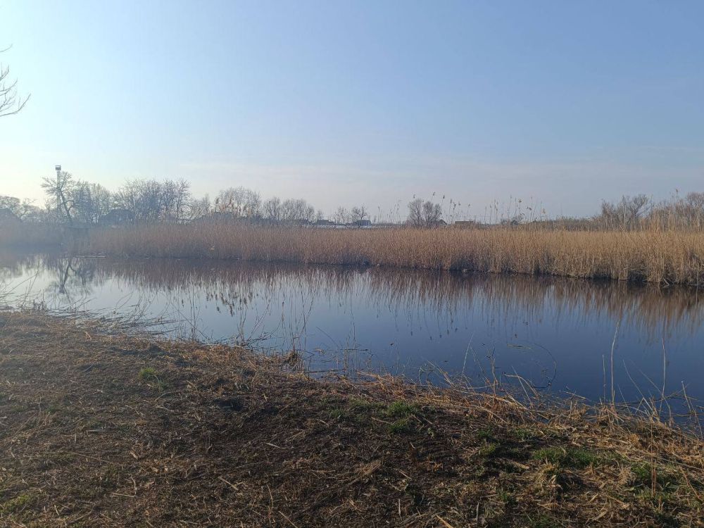 ��� ���������������� ������������� ��������� ������� ��������� � �������������� �������