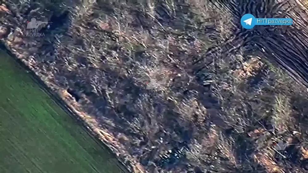 ��������� �������: ������ �������� ���������� ��������� ����� �����