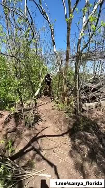 ������������ ������� �777 ��� 155 �� �����������������