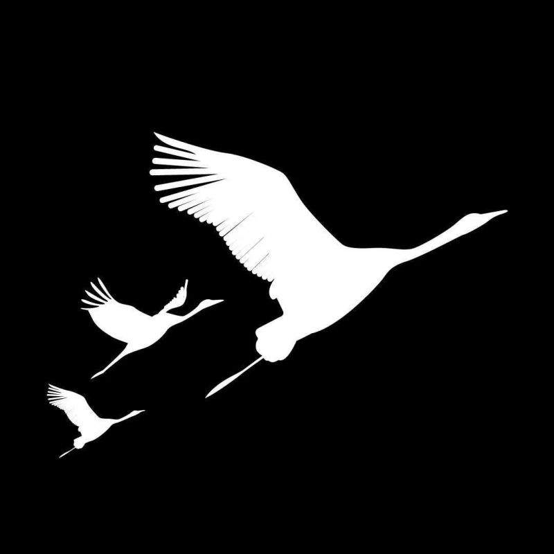 "������ ���� ����" �������