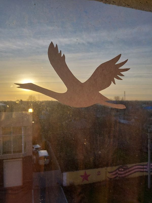 ������� ������: "�� ������!"