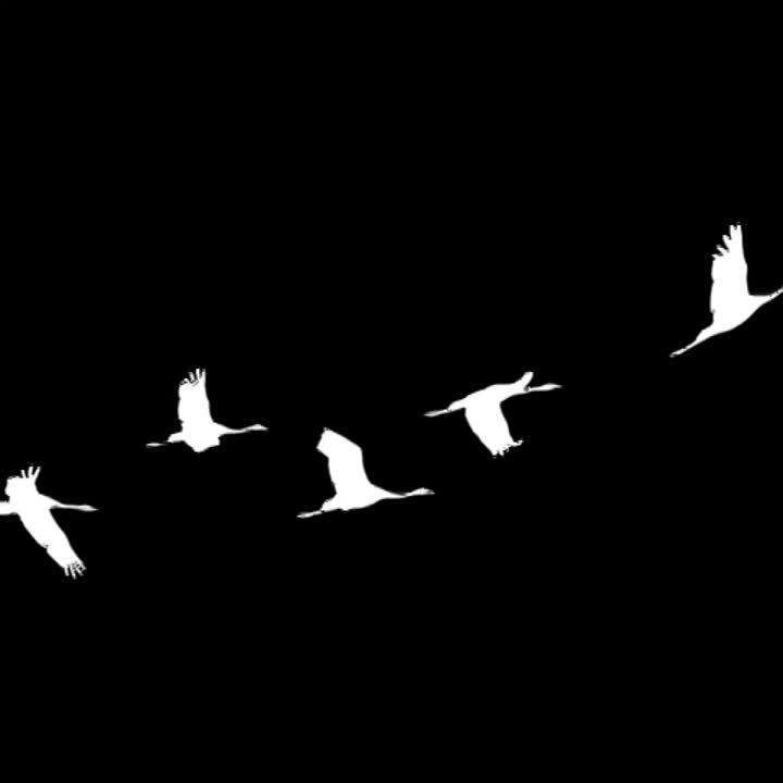 ����� ����������: � ������ ���������� ����� �������� ������ ����� ������� � ������� ���� �����